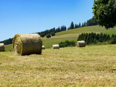Field agriculture straw