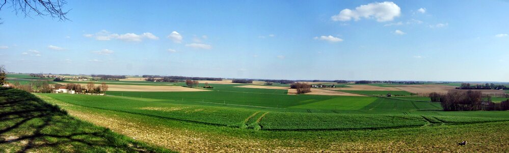 Champagne plain landscape