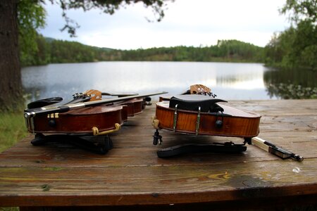 Violins nature water