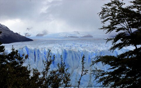 Argentina patagonia calafate photo