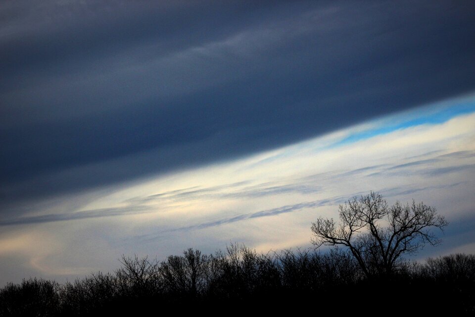 Tall nature blue photo