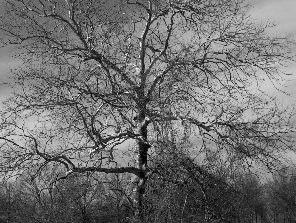 Winter outdoor