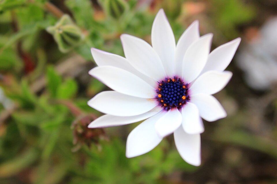 Beauty color spring