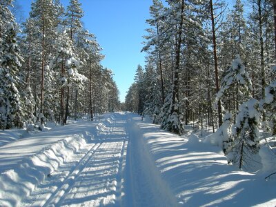 Winter snow ski trails photo