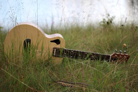 Guitar grass wp strings