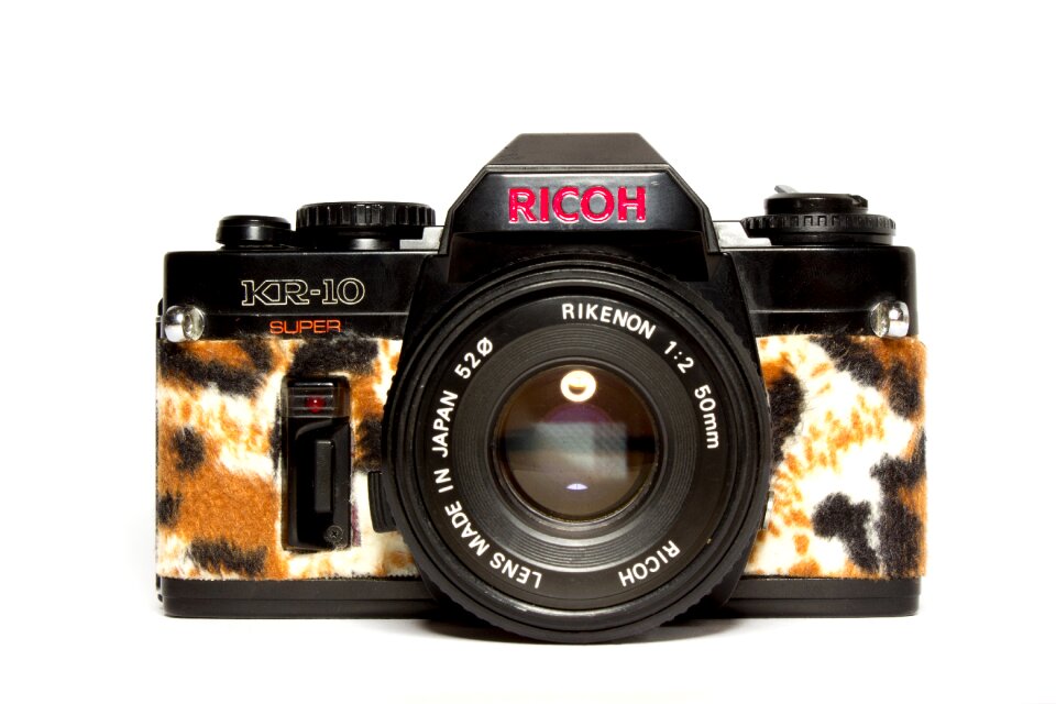 Leopard lens style