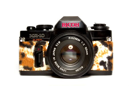 Leopard lens style photo