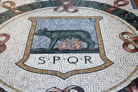The she-wolf romulus remo