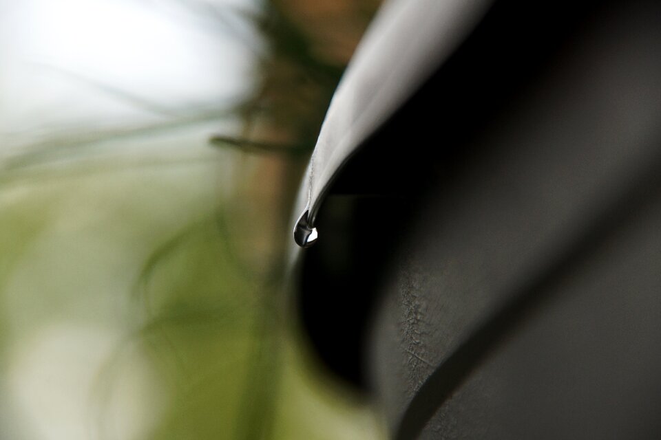Macro rain plant