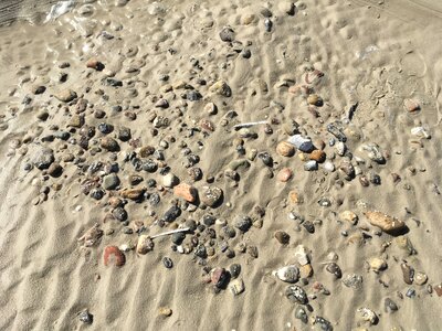 Flints coast by the sea