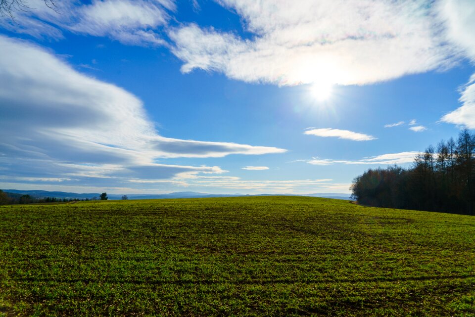 Sky backlighting summer