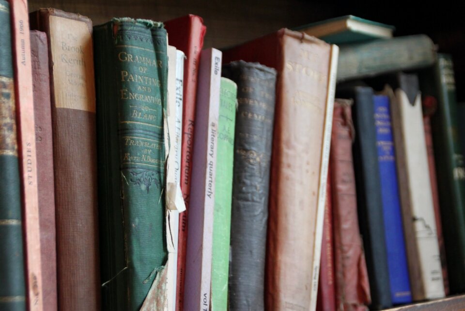 Literature vintage study