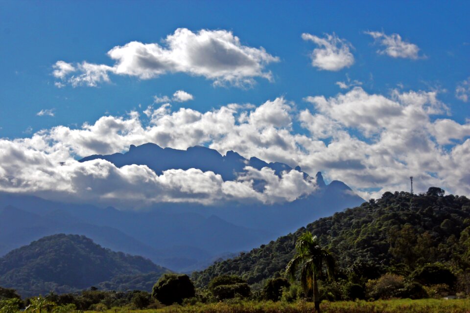 Forest vista serra