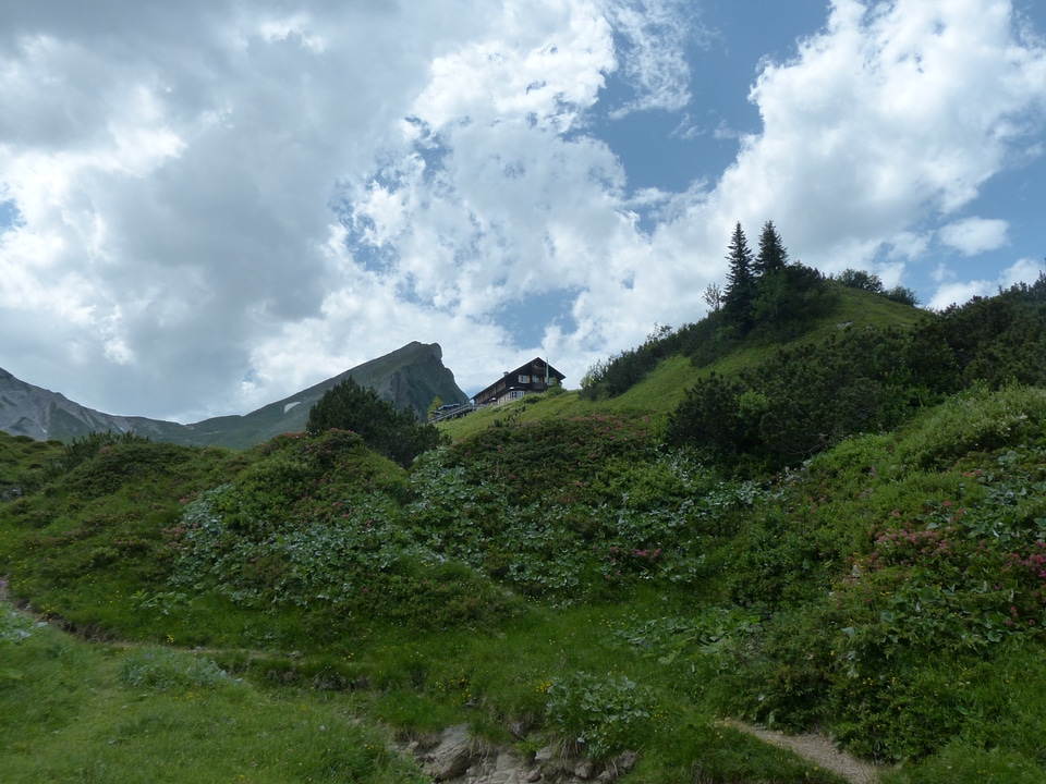 Mountains alpine box yoke