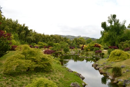 Landscape green calm