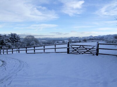 Coastal winter white
