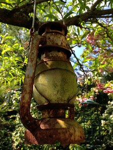 Rust tree oil photo