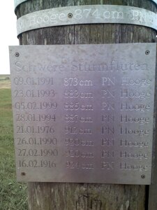 Nature halligen friesland