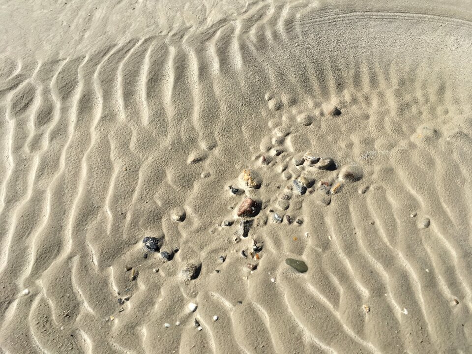 Coast by the sea landscape
