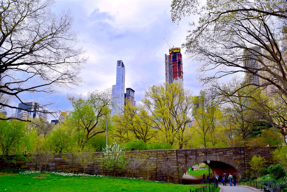 Manhattan central park photo