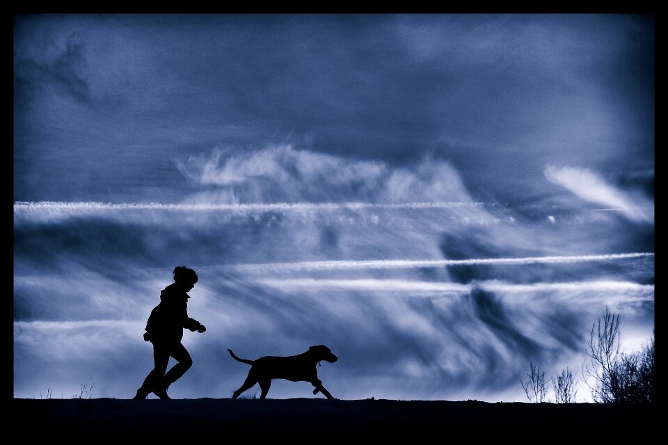 Man and dog silhouette weimar run