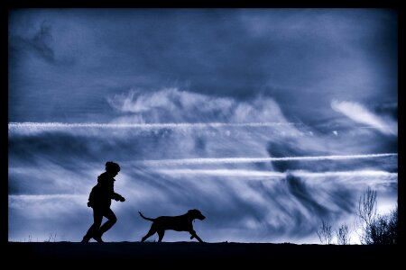 Man and dog silhouette weimar run photo