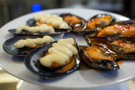 Mussels seafood mediterranean cuisine photo