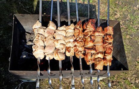 Mangal fried meat food photo