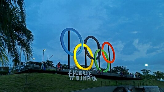 Coconut tree olympic city sky
