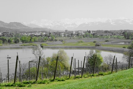 Switzerland water mountains photo