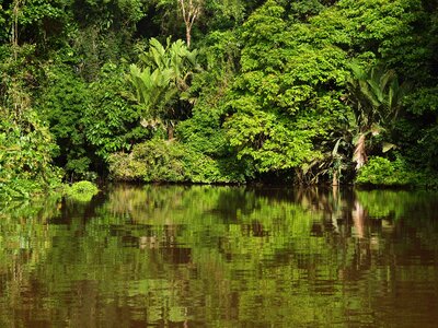National park jungle rainforest