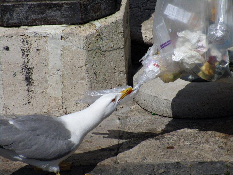 City close up garbage