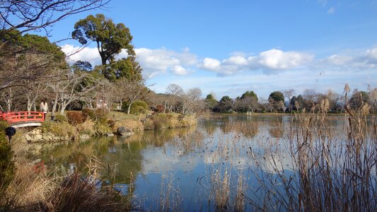 Japanese grounds kyoto