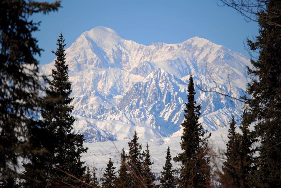 Denali park outdoor
