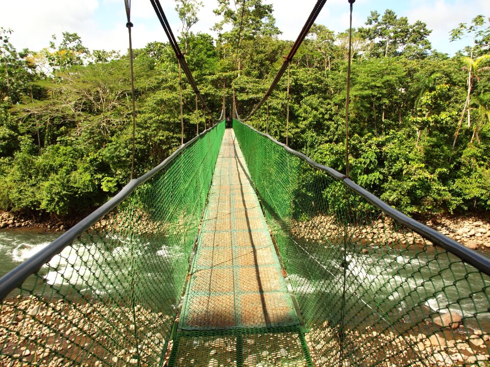 Jungle national park rainforest
