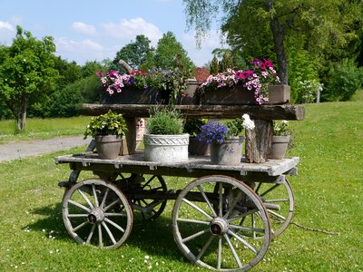 Dare flowers seefeld
