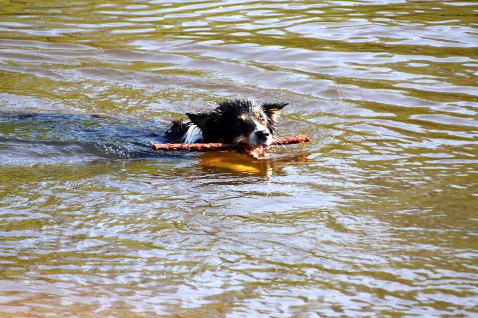 River retrieve hybrid