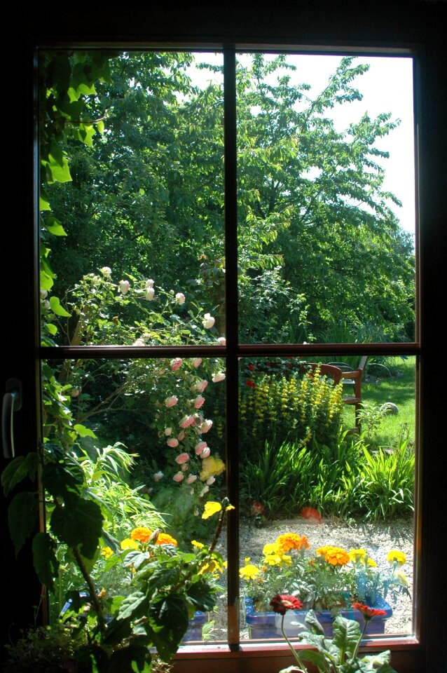 Plant window outlook
