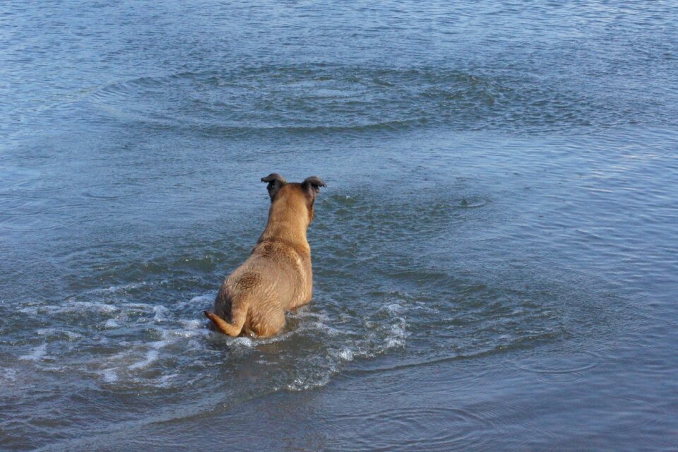 Summer swimming activity