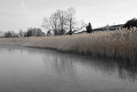 Lake nature water