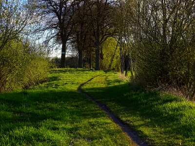 Grass hike trail photo