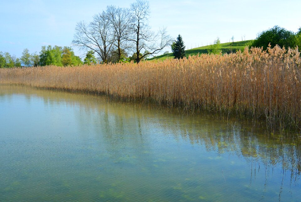 Lake nature water