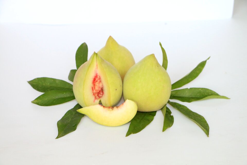Olecranon peach peaches peach