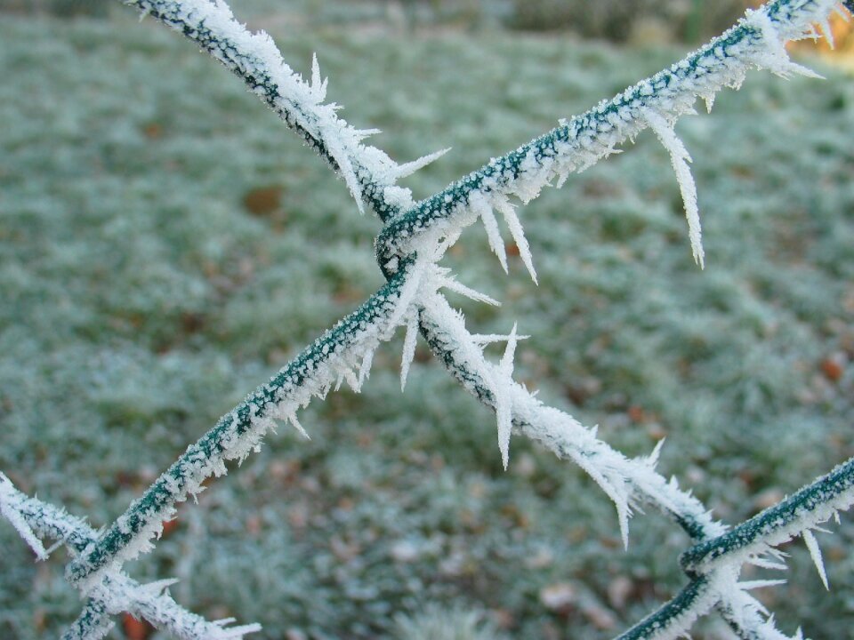 Cold frozen wire mesh