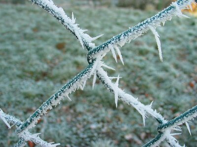 Cold frozen wire mesh photo