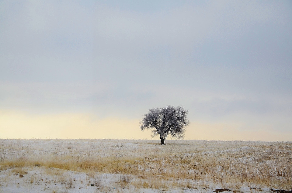 Nature sky landscape