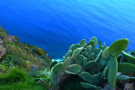 Beach cliffs coast