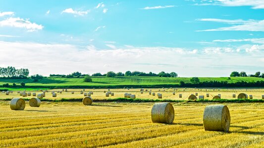 Landscape countryside