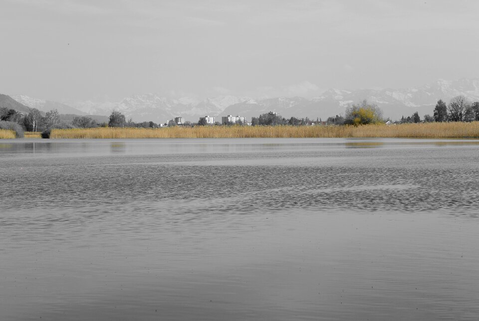 Landscape switzerland pfäffikersee