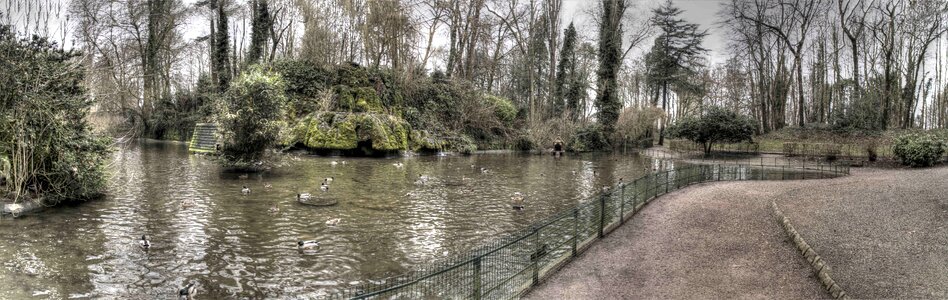Public garden st omer ducks